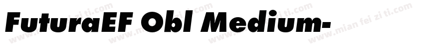 FuturaEF Obl Medium字体转换